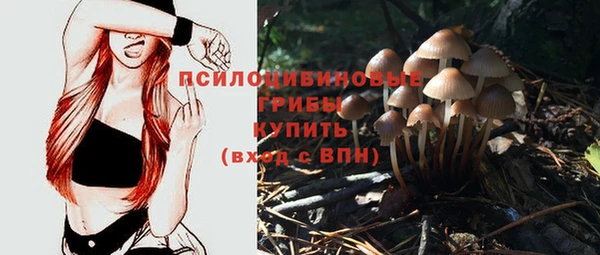 таблы Аркадак