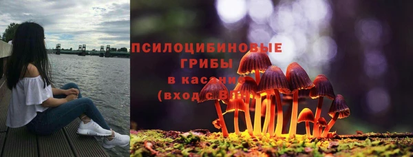 СК Слюдянка